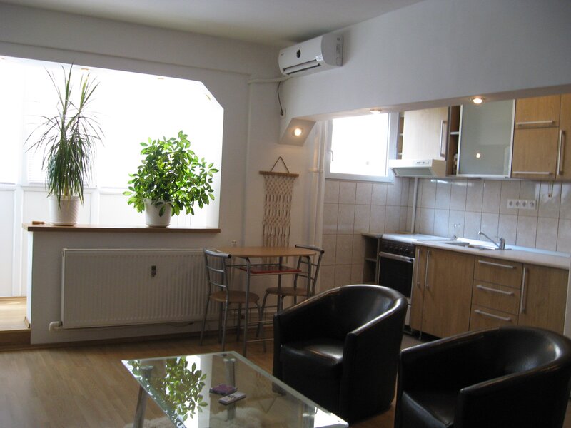 Balta Alba, Salajan, Piata Titan, la statuie